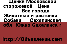 Щенки Московской сторожевой › Цена ­ 35 000 - Все города Животные и растения » Собаки   . Сахалинская обл.,Южно-Сахалинск г.